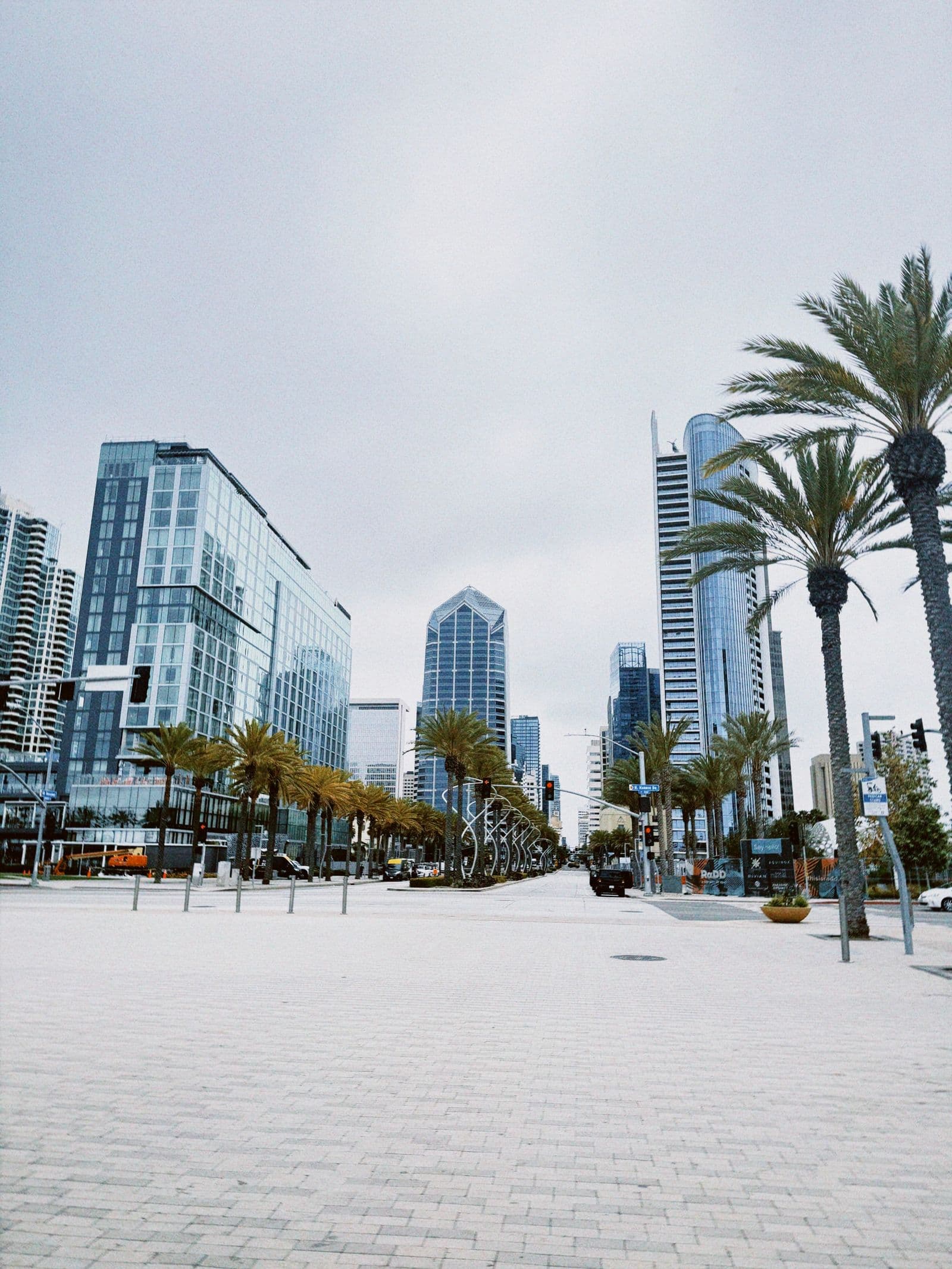Downtown San Diego street lined with palm trees and modern glass office towers