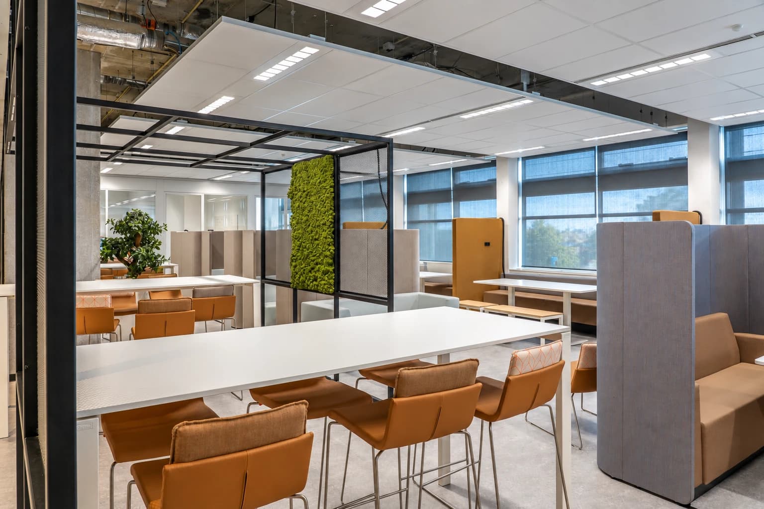 Modern open-plan office with a moss accent wall, communal tables, and lounge seating